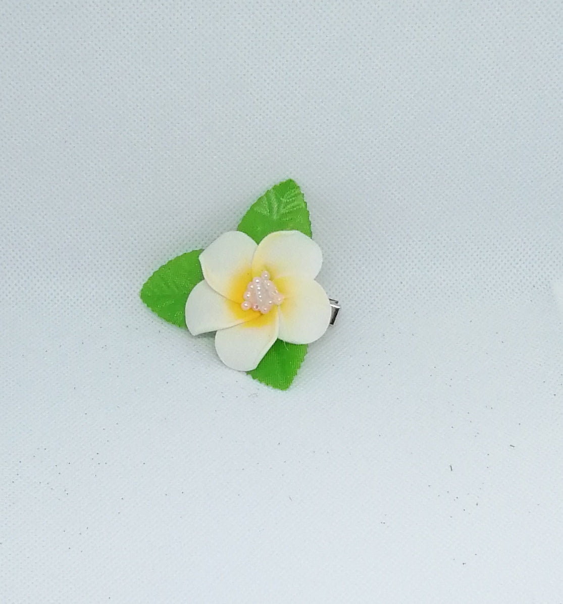 Accessoire Beauté