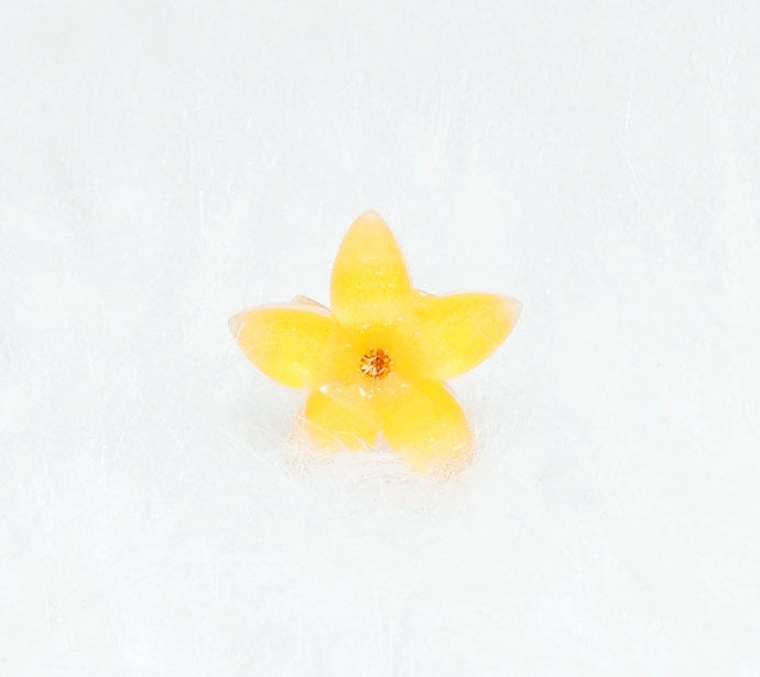 Accessoires beauté Bague