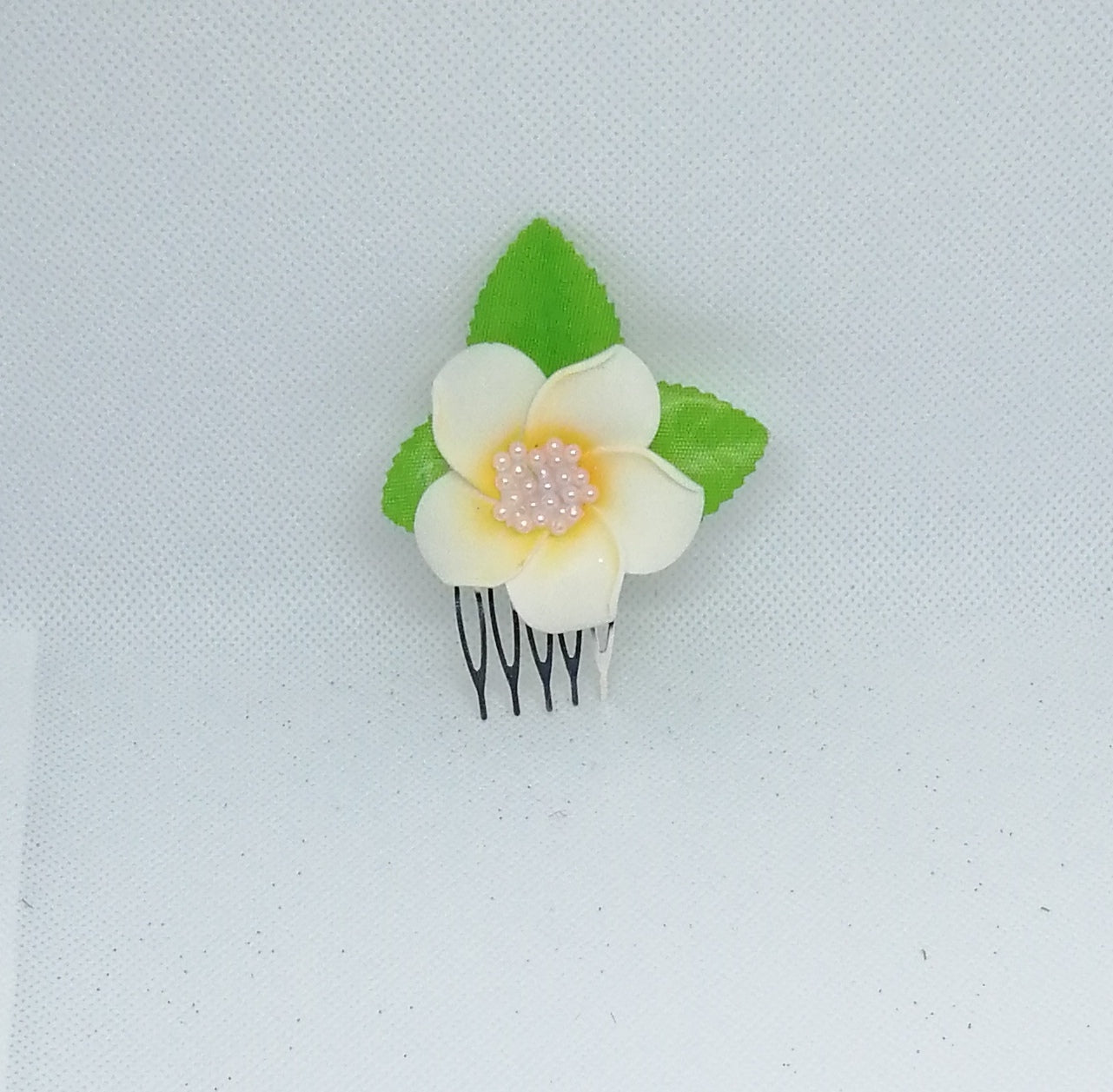 Accessoire Beauté