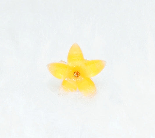 Accessoires beauté Bague